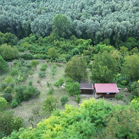 Villa Odmor Za Dusu I Tijelo U Srcu Prirode à Aljmaš Extérieur photo