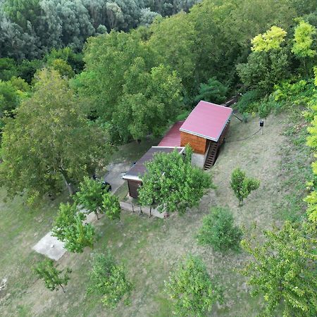Villa Odmor Za Dusu I Tijelo U Srcu Prirode à Aljmaš Extérieur photo