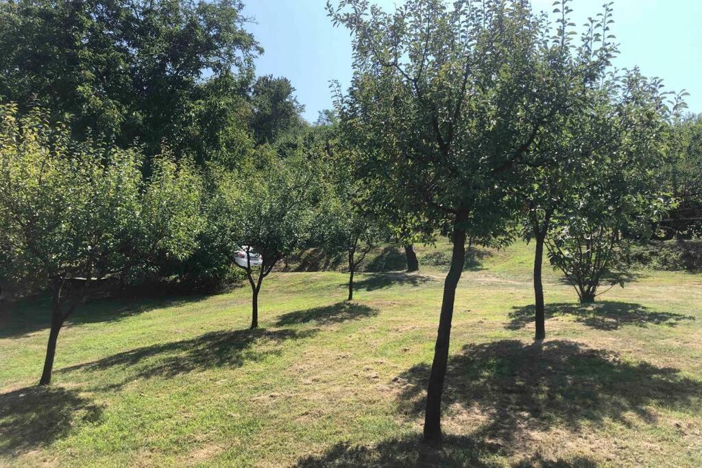 Villa Odmor Za Dusu I Tijelo U Srcu Prirode à Aljmaš Extérieur photo