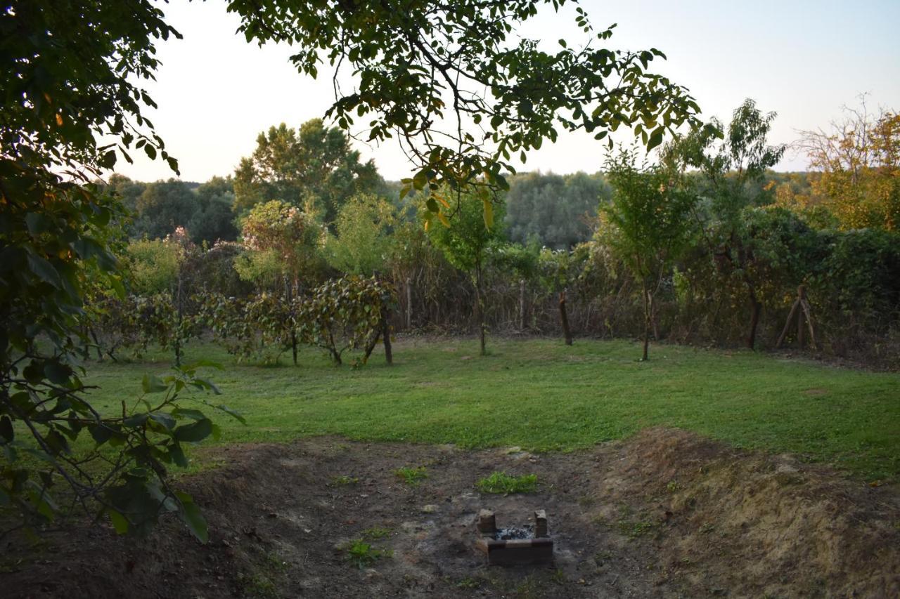 Villa Odmor Za Dusu I Tijelo U Srcu Prirode à Aljmaš Extérieur photo