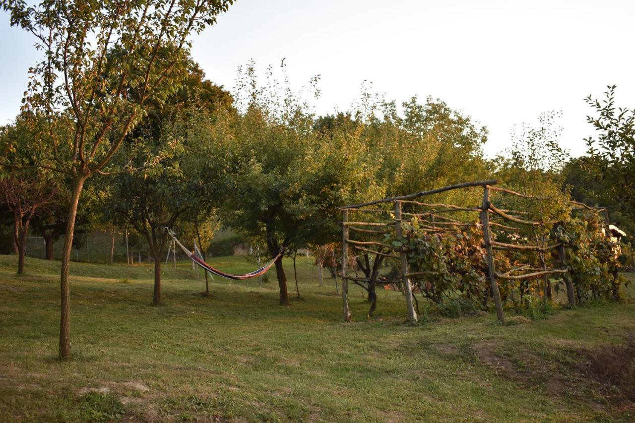 Villa Odmor Za Dusu I Tijelo U Srcu Prirode à Aljmaš Extérieur photo