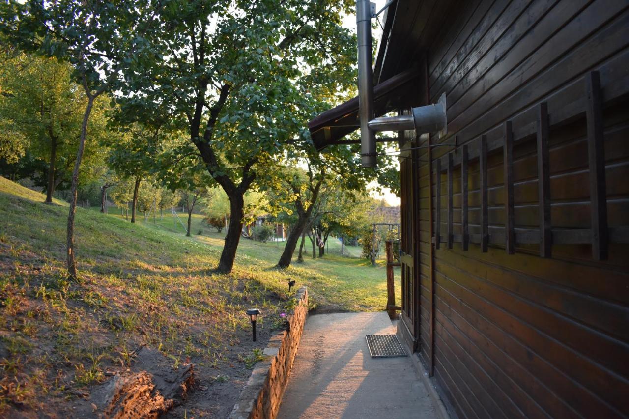 Villa Odmor Za Dusu I Tijelo U Srcu Prirode à Aljmaš Extérieur photo