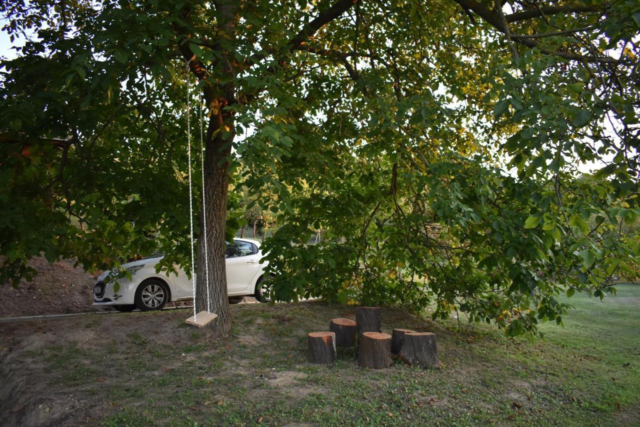 Villa Odmor Za Dusu I Tijelo U Srcu Prirode à Aljmaš Extérieur photo