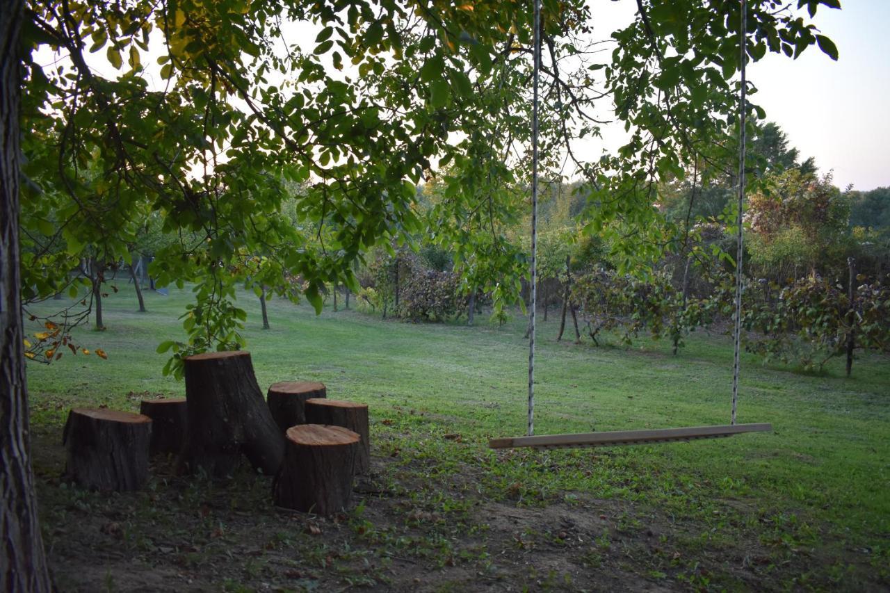 Villa Odmor Za Dusu I Tijelo U Srcu Prirode à Aljmaš Extérieur photo