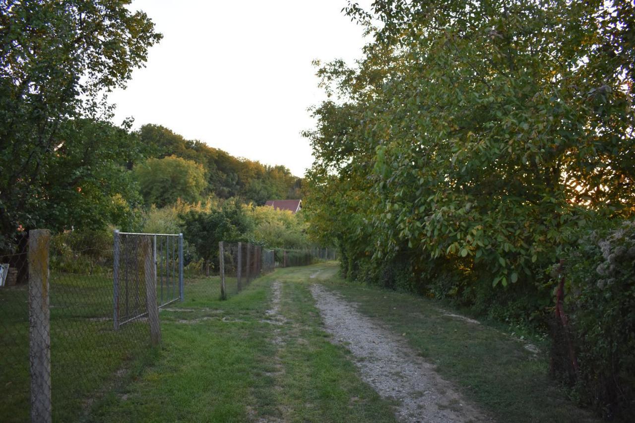 Villa Odmor Za Dusu I Tijelo U Srcu Prirode à Aljmaš Extérieur photo