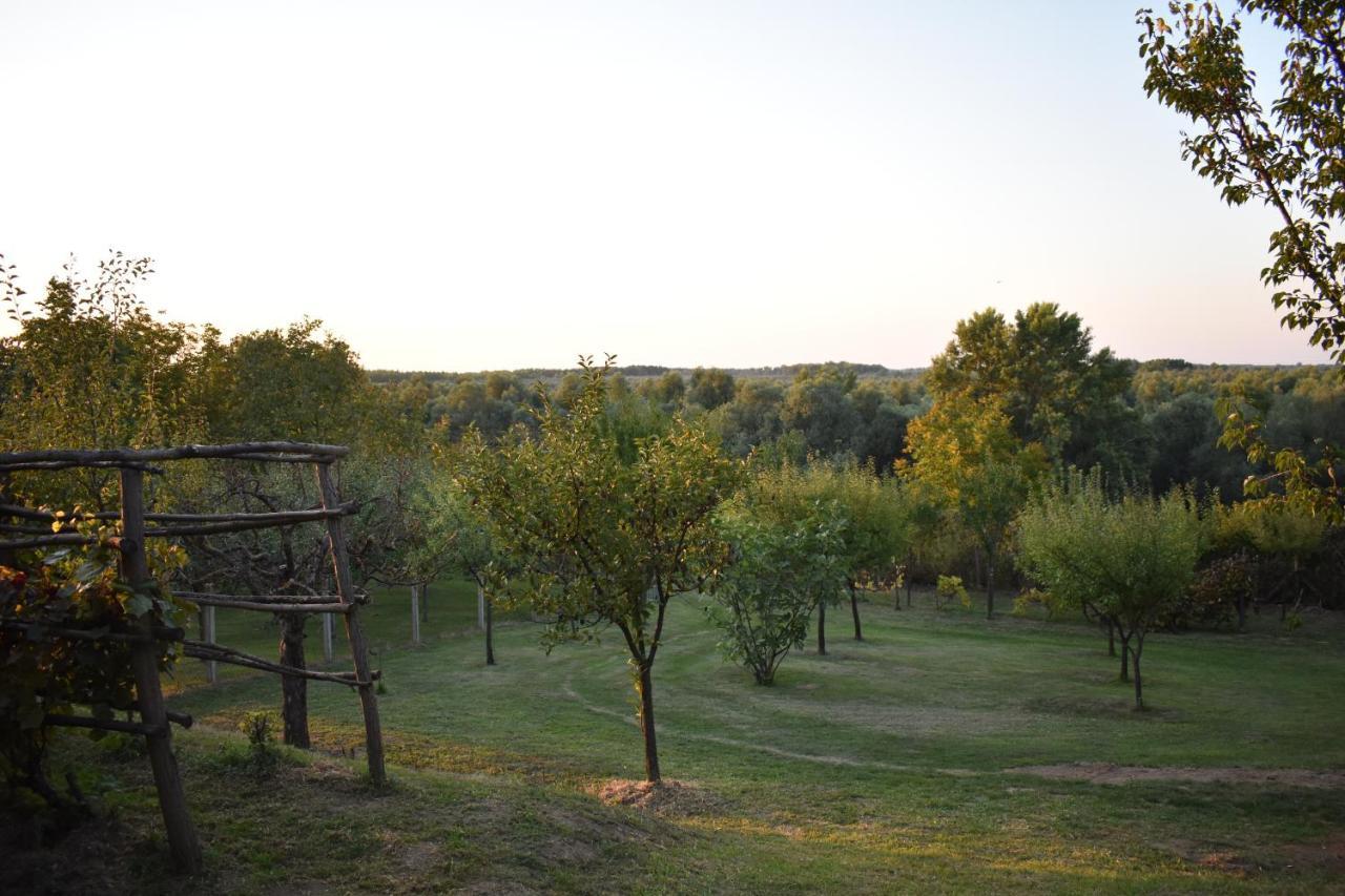 Villa Odmor Za Dusu I Tijelo U Srcu Prirode à Aljmaš Extérieur photo