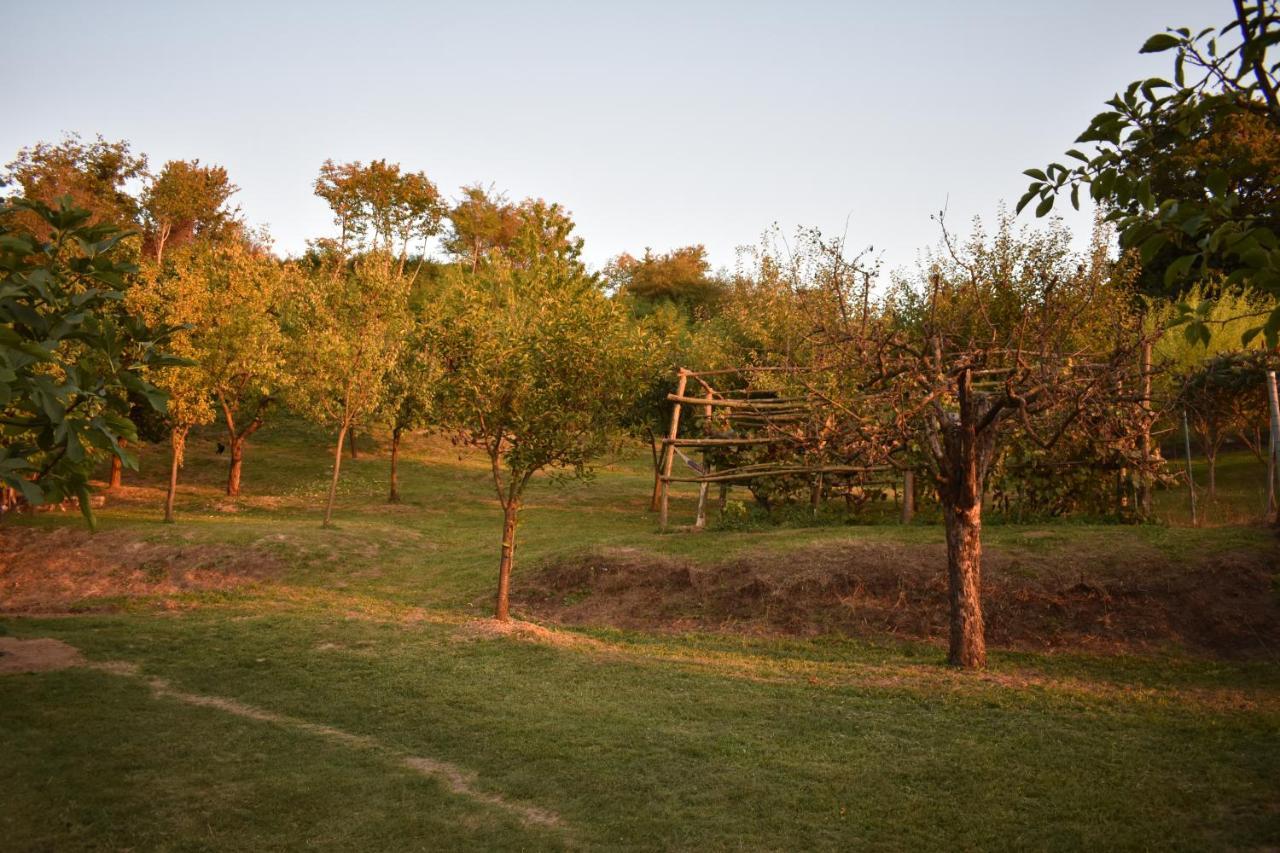 Villa Odmor Za Dusu I Tijelo U Srcu Prirode à Aljmaš Extérieur photo