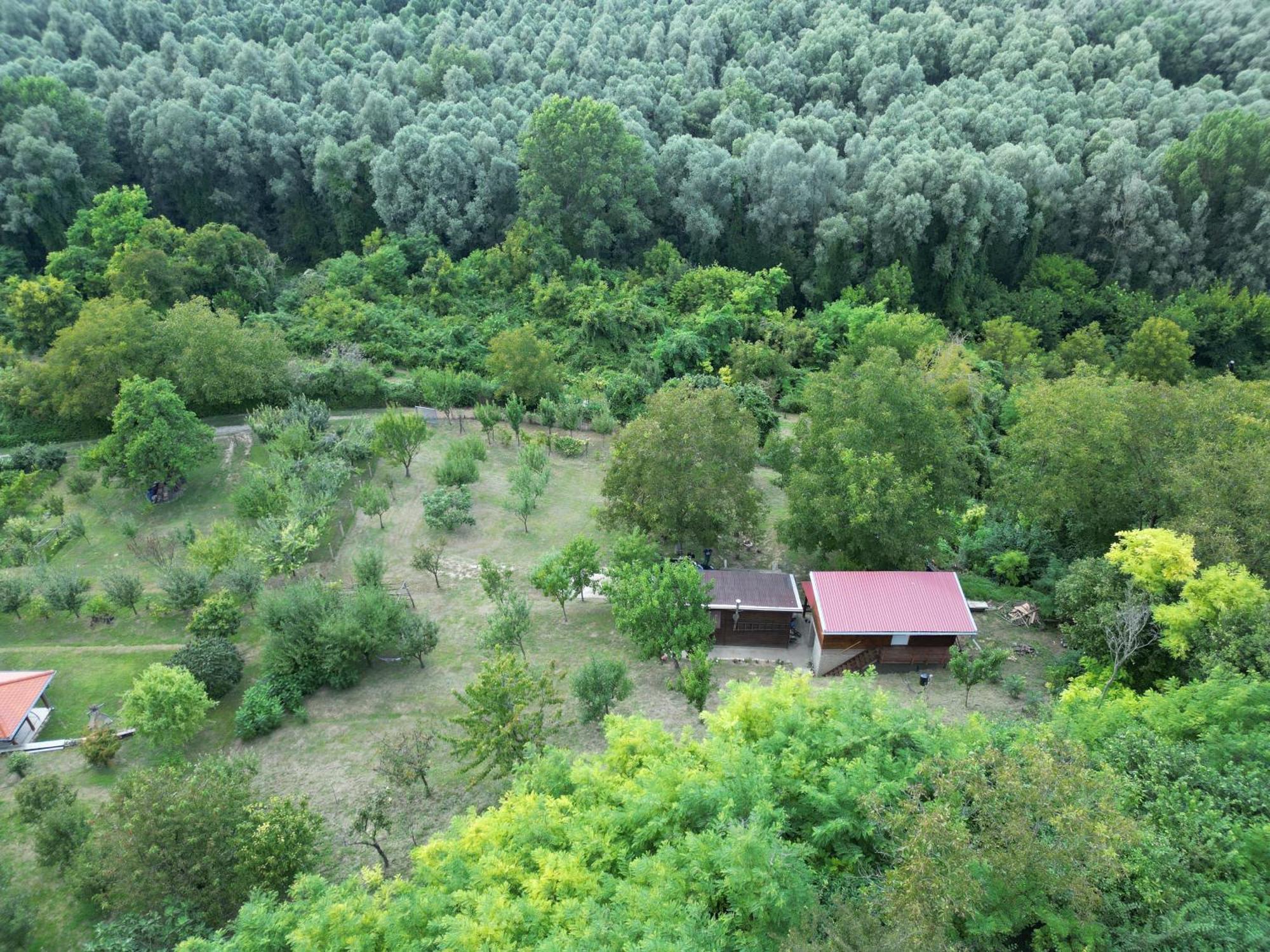 Villa Odmor Za Dusu I Tijelo U Srcu Prirode à Aljmaš Extérieur photo