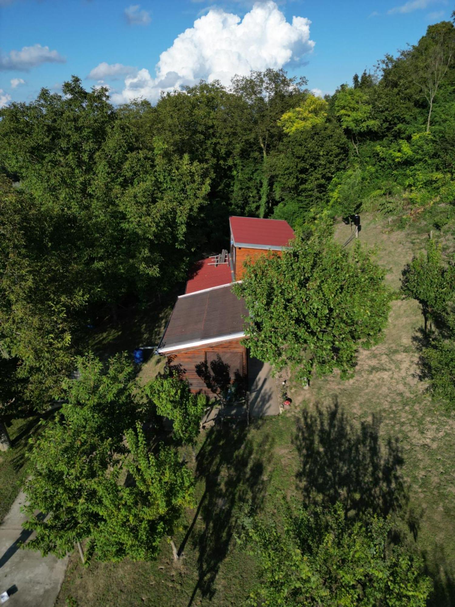 Villa Odmor Za Dusu I Tijelo U Srcu Prirode à Aljmaš Extérieur photo