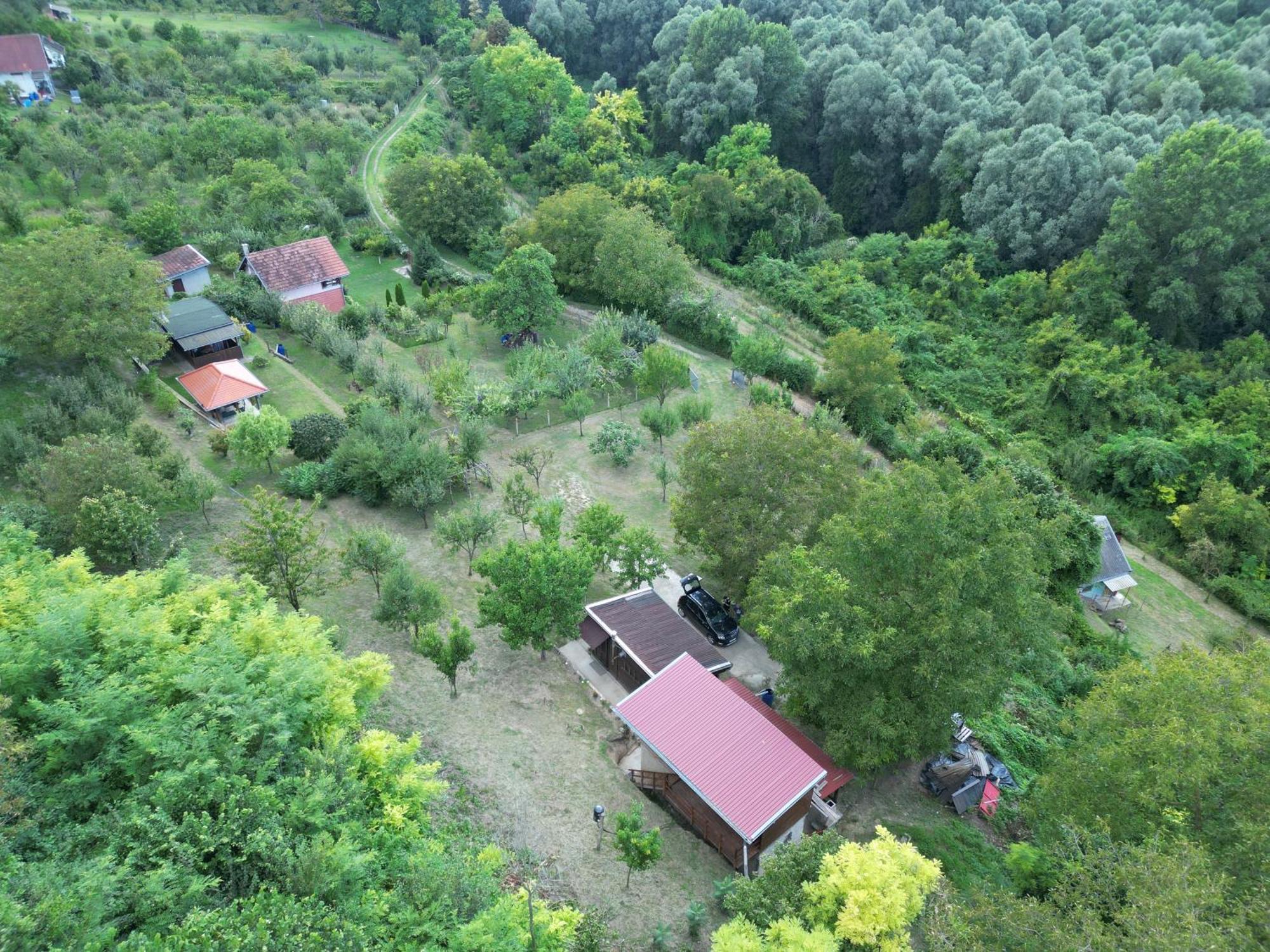 Villa Odmor Za Dusu I Tijelo U Srcu Prirode à Aljmaš Extérieur photo